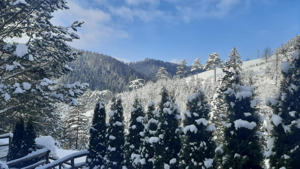 Apartman Suncana Dolina, Zaovine Exterior foto